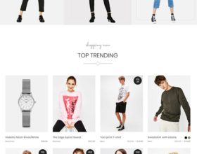 5 Instagram Shop WordPress Themes to Use in 2019