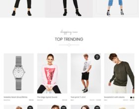 5 Instagram Shop WordPress Themes to Use in 2019 5 Instagram Shop WordPress Themes to Use in 2019