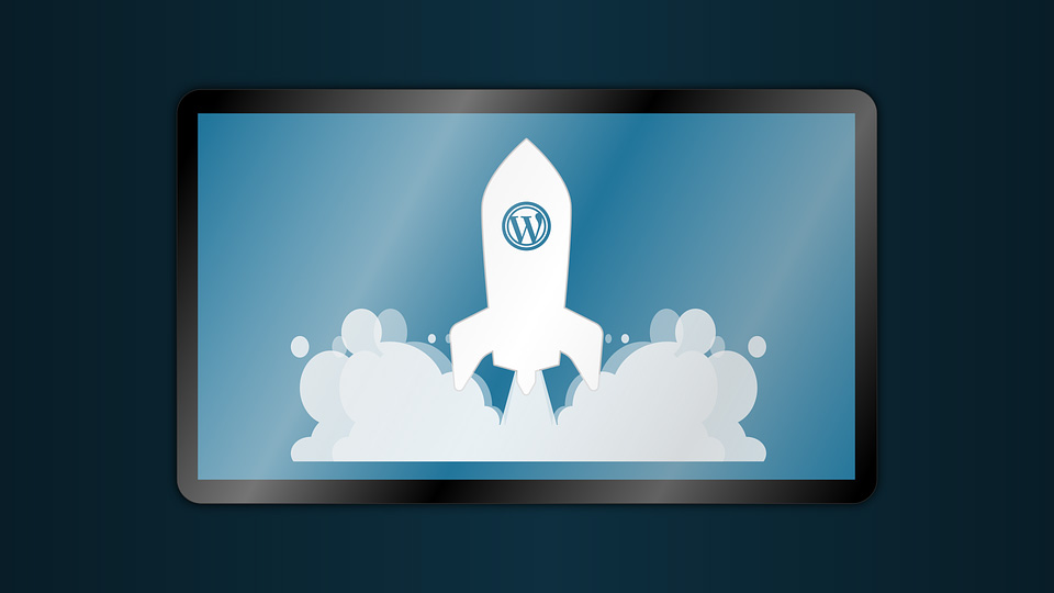 website launch 2889