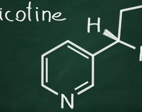 Disposable Vapes vs. Nicotine Pouches: What’s the Best Way to Get Your Fix? Disposable Vapes vs. Nicotine Pouches: What’s the Best Way to Get Your Fix?